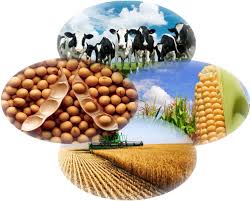Agropecuaria M.R - imagen 1