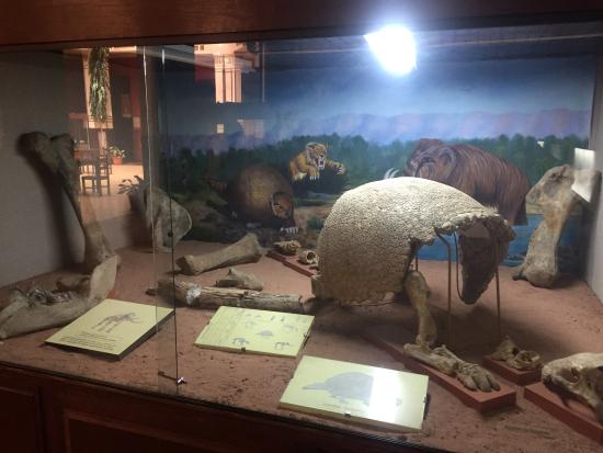 Museo Arqueológico