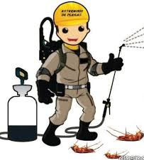 Copesvi Fumigaciones  - imagen 1
