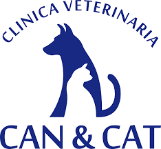 CAN Y CAT  - imagen 1
