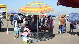 Venta de Mascotas