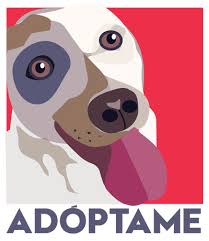 Adopción - imagen 1
