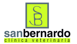 San Bernardo