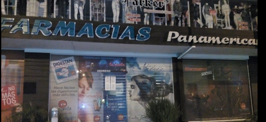 FARMACIA PANAMERICANA 2