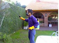 Fumiexpertos 