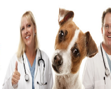 Centro Veterinario Tiquipaya