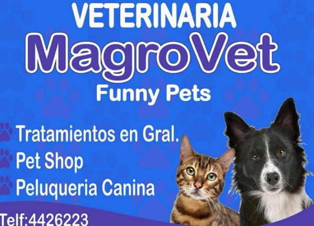 Veterinaria Magrovet Funny Pets