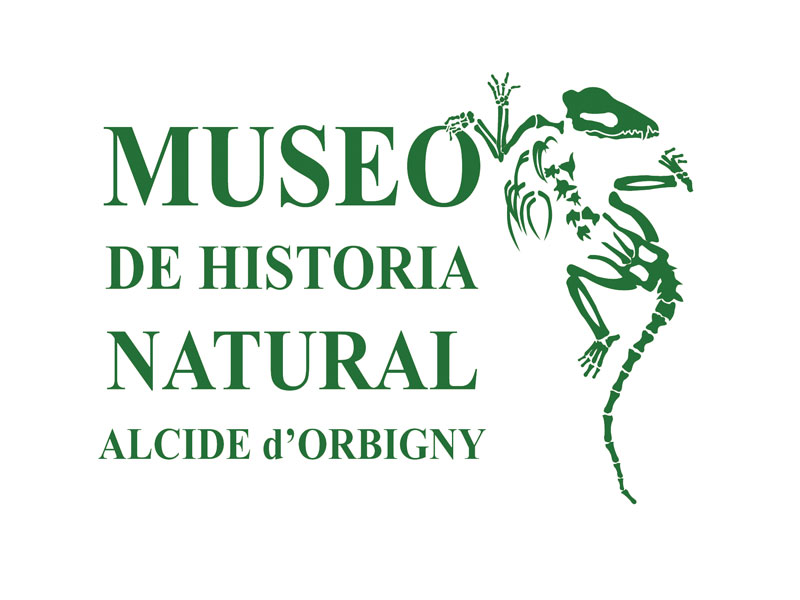 Museo de Historia  Natural Alcide D'orbygny - imagen 2