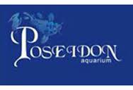 El Poseidón - imagen 2