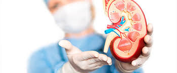 Dr. Abel Rojas Z. - imagen 2