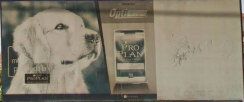 Alfa Veterinarios - imagen 2