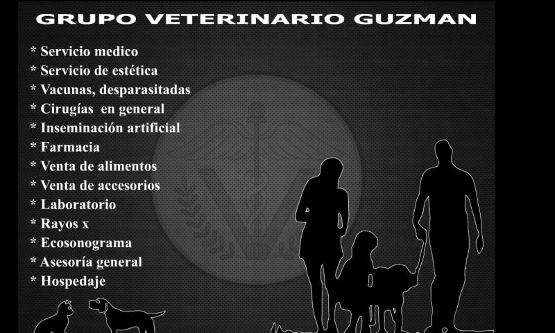 Guzman & CIA.  - imagen 2