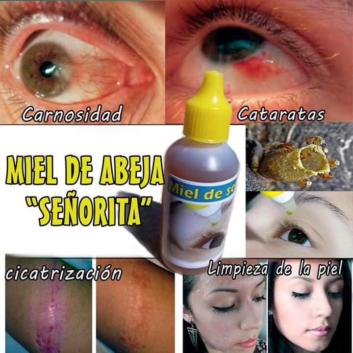 Meliponicultura - imagen 3