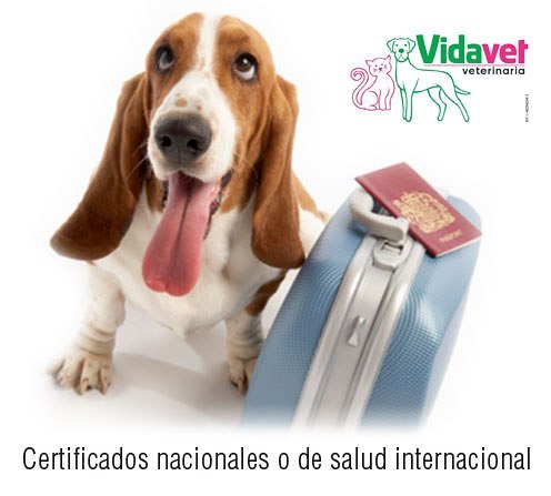 VidaVet - imagen 2