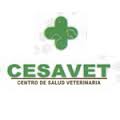 CESAVET  - imagen 2