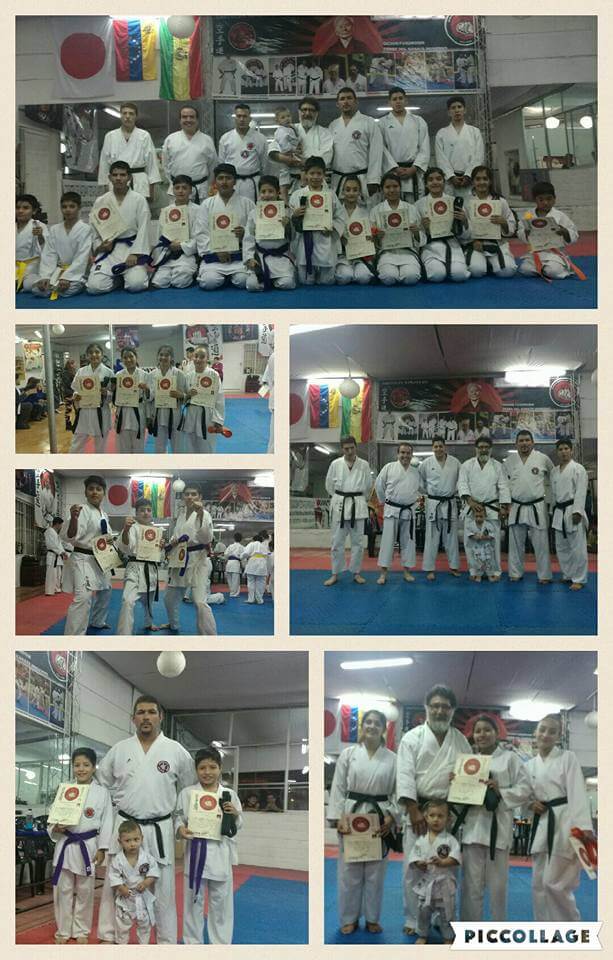 Academia de Artes Marciales Bushido-Kai Cochabamba - imagen 3