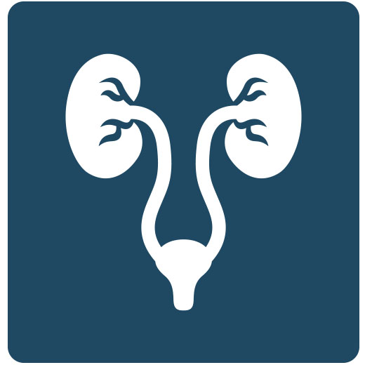 Urología